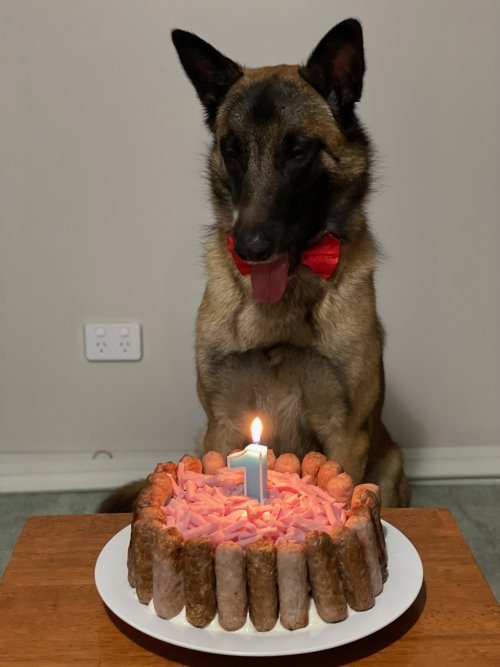 Birthday Cake