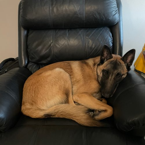 My Chair